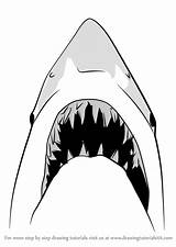Shark Jaws Draw Drawing Step Easy Animals Drawings Sharks Great Kids Drawingtutorials101 Learn Tutorials Other Sketches Animal Choose Board sketch template