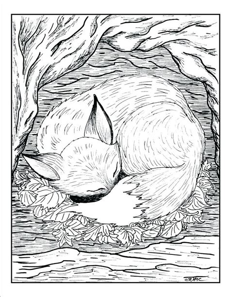realistic animals coloring pages png  file