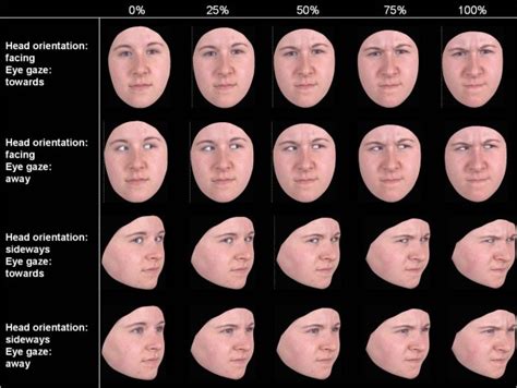 schematic of the face emotion recognition task with the different