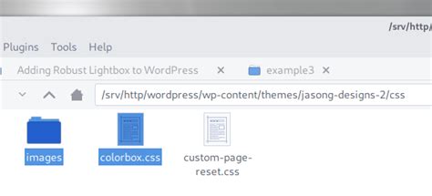 adding  robust lightbox script   wordpress theme jason  designs