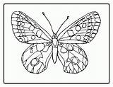 Coloring Pages Printable Flower Butterfly Butterflies Color Easter Simple Sheets Sheet Garden Sylvanian Animal Families Girls Adults Print Library Clipart sketch template