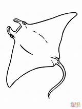 Stingray Coloring Printable Pages Getcolorings Color Print sketch template