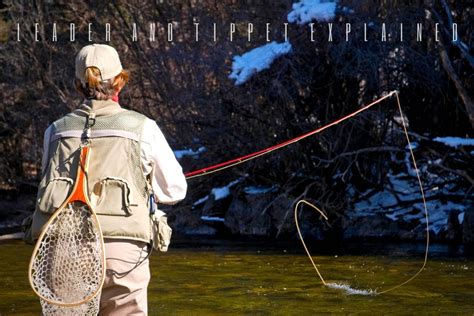 fly fishing leader  tippet explained fly fisher pro