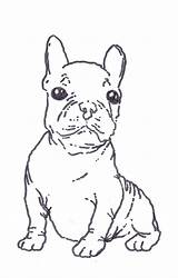 Coloring Bulldog French Pages Terrier Boston Printable Color West Highland Puppy Drawing Kids Getcolorings Line Library Nice Clipart Print Template sketch template