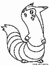 Furret Pokemon Coloring Pages Normal Colouring Fun sketch template