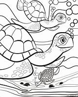Colouring Kids Pages Coloring Printable Summer Turtle Long Sheets Print Scentos Sea Days Animal Fun Cute Turtles Choose Board sketch template