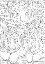 Adult Mandala Tigers Tigre Ausmalen Coloriage Ausmalbilder Sheets Favoreads Detailed Erwachsene Zahlen Vorlagen Ausdrucken Ausmalbild Adultos Wildtiere Mandalas Malvorlagen Epingle sketch template