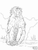Baboon Drawing Coloring Pages Angry Getdrawings sketch template