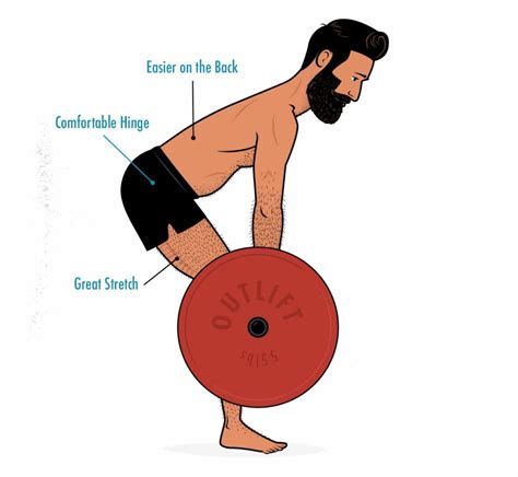 The Romanian Deadlift Guide Outlift