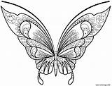Papillon Insecte Jolis sketch template
