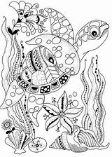 Sommer Mandalas Coloring Erwachsene Tortue Ausmalen Sea Malvorlagen Dibujos Underwater Ausdrucken Penguin Marker Zentangle Frühling Colorista Adultos Tortues Turtles Bunte sketch template