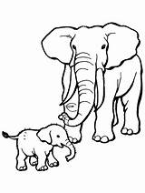 Olifant Kleurplaten Olifantje Olifanten Knutselen Dieren Elefante sketch template