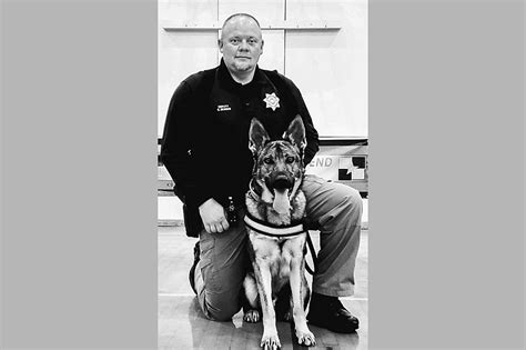 wyoming sheriff s office mourns passing of beloved k9