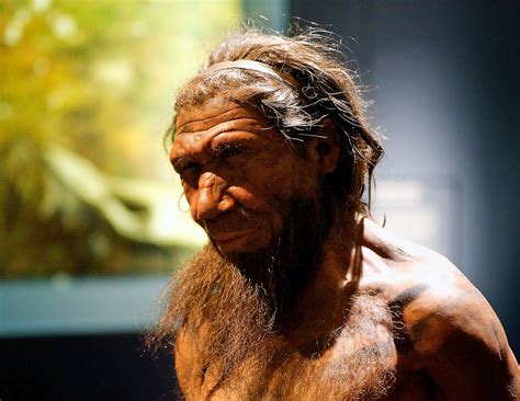 ancient humans      breathing    today bgr
