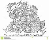 Lapin Adulti Coniglio Animaux Boek Kleurende Bunny Coniglietto sketch template