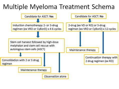 cardiac considerations  modern multiple myeloma therapies american