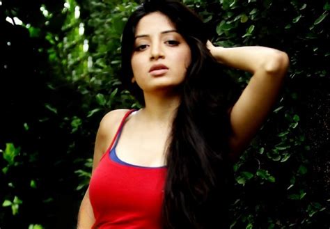 indian celebrity sexy girls poonam kaur hot stills saree stills cleavage sizzling dazzling