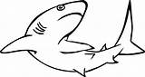 Hiu Mewarnai Ikan Belajar Binatang Hewan Laut Paus sketch template