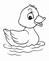 Template Duck Coloring Ducks Animal Pages Templates Little Five Printable Kids Print Easy Farm Drawing Cartoon Colouring Animals Cute Baby sketch template