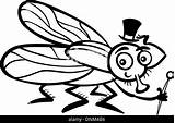 Stock Cartoon Housefly Alamy Fly Coloring Book Illustration Funny sketch template