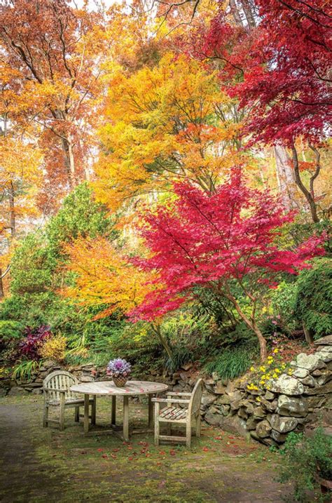 incredibly inspiring fall flower gardens autumn garden beautiful gardens autumn scenery