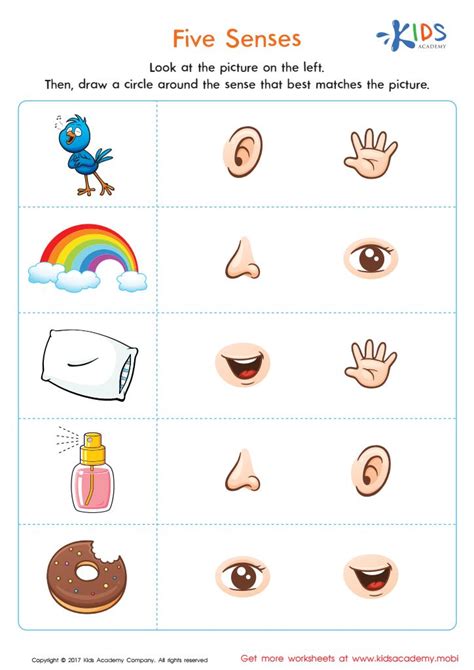 senses activities preschool emotions preschool preschool learning