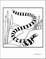 Snake Sea Coloring Pages Viper Clip Getcolorings Getdrawings Color Printable Drawing sketch template