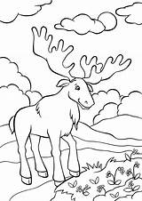Moose из категории все sketch template