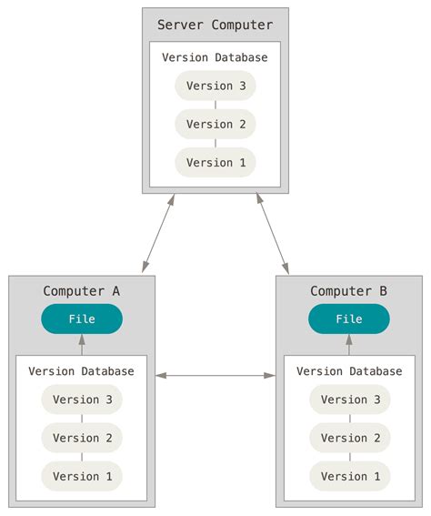 professional programmer  version control system vcs data science  python