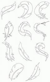 Coloring Feathers Comments sketch template
