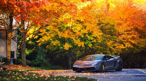 autumn  cars wallpapers wallpaper cave