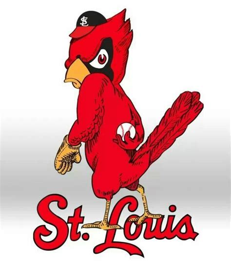 high quality st louis cardinals logo vector transparent png