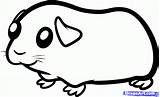 Pig Guinea Draw Pigs Kids Cartoon Step Clipart Baby Drawing Coloring Easy Drawings Animals Cavy Pages Clip Cute Dragoart Cavia sketch template