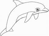 Dolphin Colorat Delfin Desene Delfini Fish Animale Planse Delfines Golfinho Salbatice Delfinul Dolphins Mamifere Colorir Desenhos Conteaza Educatia Qdb sketch template
