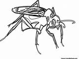 Mosquito Coloring Pages Results sketch template
