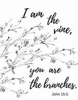 Vine Wise Branches Scripture Vines sketch template