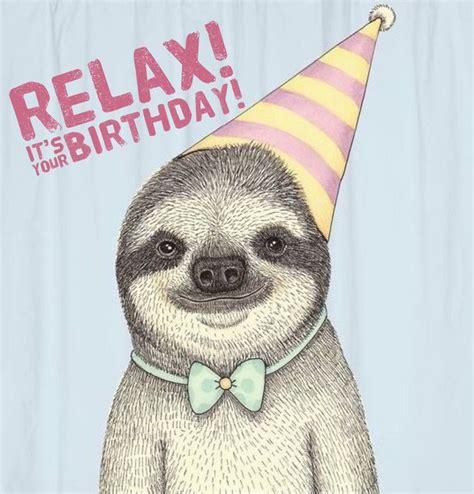 happy birthday sloth art sloth sloth birthday