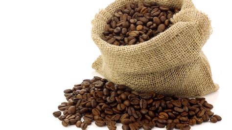 central america coffee exports recover  panama perspective