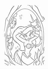 Arielle Meerjungfrau Ariel Malvorlagen Fabius H2o Kostenlosen Prinzessin sketch template
