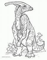 Coloring Parasaurolophus Pages Dinosaur Drawing Animals Print Designlooter Dinosaurs Saurolophus Kids Nodosaurus Baryonyx Library Clipart Comments Pteranodon sketch template