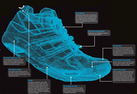 anatomy   running shoe pocketmagscom