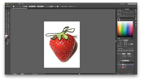 draw  illustrator cc organicfer