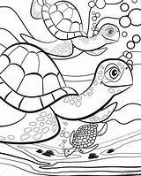 Colouring Kids Pages Coloring Printable Summer Turtle Fun Long Sheets Scentos Sea Print Animal Days Cute Turtles Choose Board sketch template