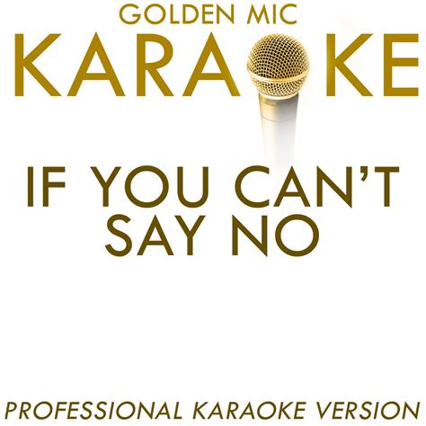 ‎if you can t say no in the style of lenny kravitz [karaoke version