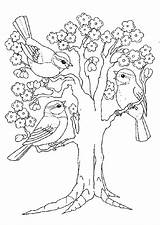 Arbre Printemps Oiseaux Fleurs sketch template