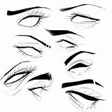 Draw Eyebrow Realistic Expressions sketch template