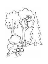 Coloring Pages Forest Trees Tree sketch template