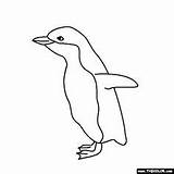 Penguin Coloring Baby Pages Penguins Animals Outline Thecolor sketch template