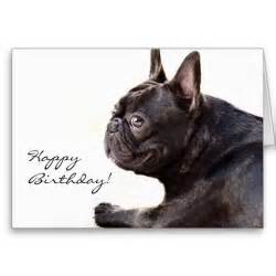 french bulldog birthday card images  pinterest anniversary