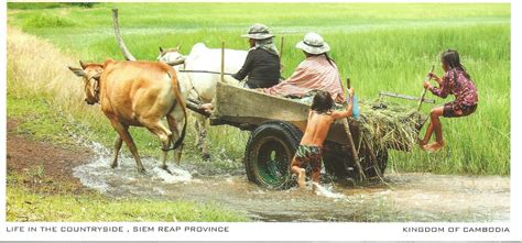 my postcard page cambodia ~life in the countryside siem